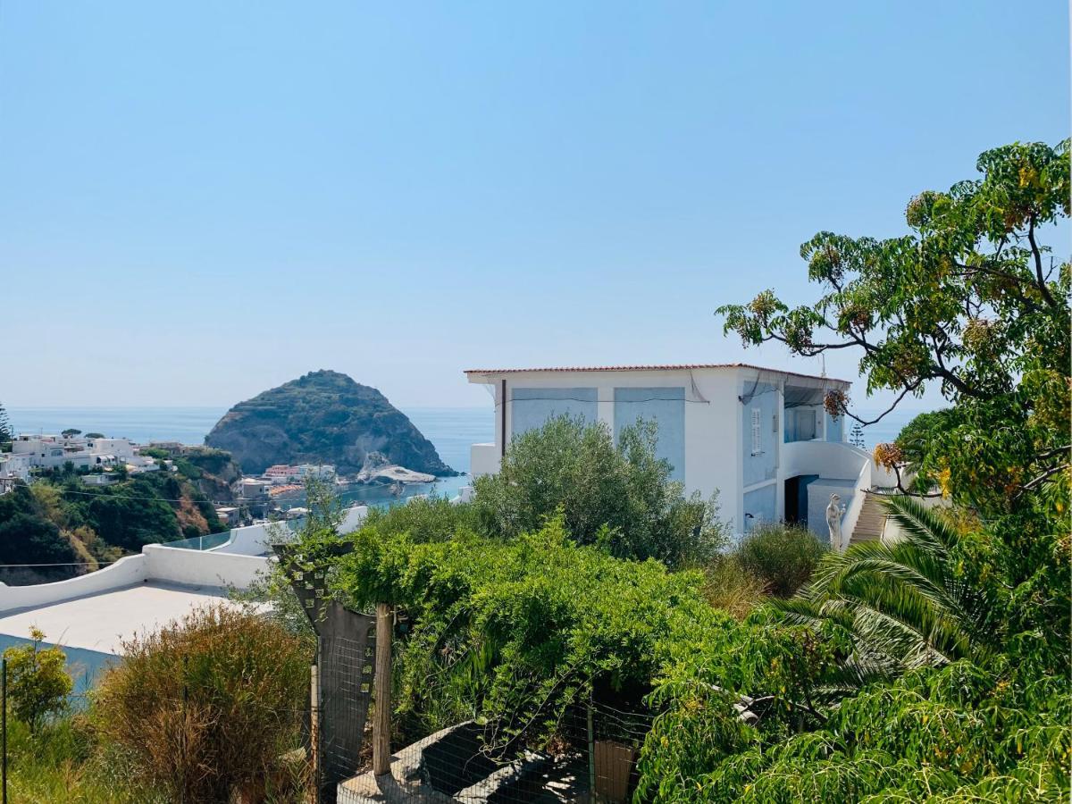 Pensione Casa Verde Sant'Angelo  Eksteriør billede